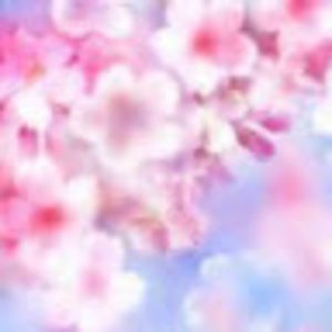 Meet your Posher, Isabella